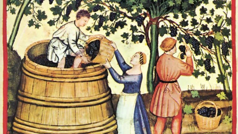 330. Aux feux de l&rsquo;aurore, la grappe se dore